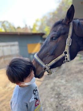 グリーングラス乗馬クラブに投稿された画像（2021/4/8）