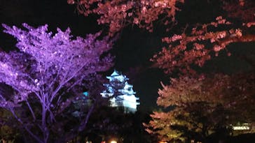 姫路城（イベント）に投稿された画像（2021/4/8）