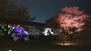 姫路城（イベント）に投稿された画像（2021/4/8）