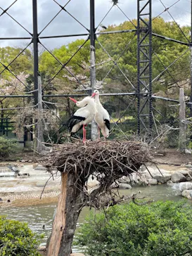 天王寺動物園に投稿された画像（2021/4/8）