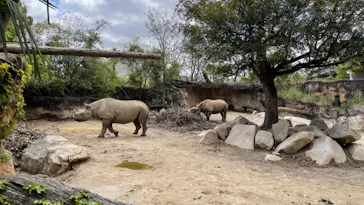 天王寺動物園に投稿された画像（2021/4/8）