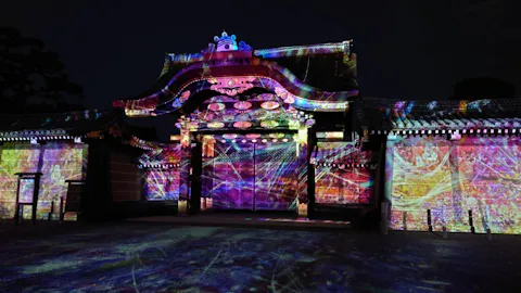 Naked Flowers 21 ー桜ー 世界遺産 二条城 口コミ一覧 アソビュー