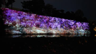 二条城×ネイキッド 二条城夏まつり2021に投稿された画像（2021/4/8）