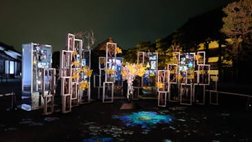 二条城×ネイキッド 二条城夏まつり2021に投稿された画像（2021/4/8）