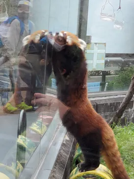 天王寺動物園に投稿された画像（2021/4/9）