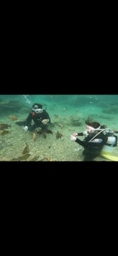 青の洞窟専門店　沖縄ダイビングショップ和に投稿された画像（2021/4/9）