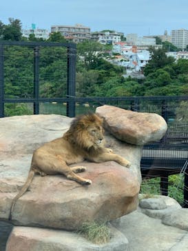 沖縄こどもの国に投稿された画像（2021/4/9）