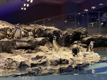 すみだ水族館に投稿された画像（2021/4/9）