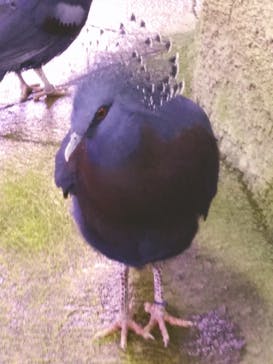 那須どうぶつ王国に投稿された画像（2021/4/9）