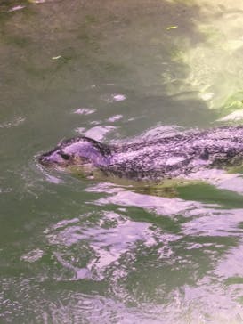 那須どうぶつ王国に投稿された画像（2021/4/9）