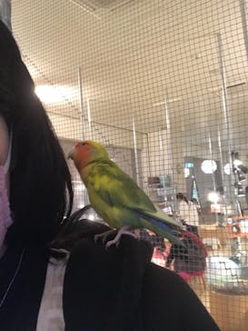 Moff animal cafe イオンモール幕張新都心店に投稿された画像（2021/4/9）