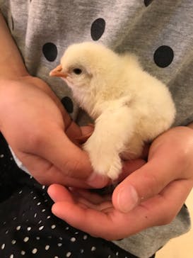 Moff animal cafe イオンモール幕張新都心店に投稿された画像（2021/4/9）