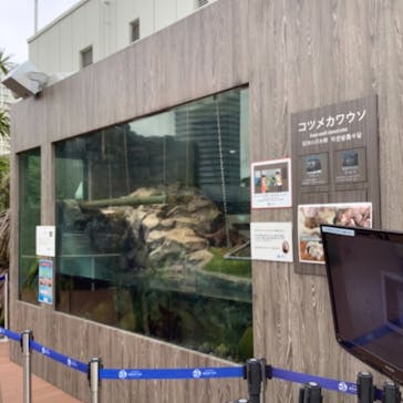 サンシャイン水族館に投稿された画像（2021/4/9）