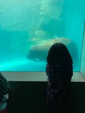 大分マリーンパレス水族館 「うみたまご」に投稿された画像（2021/4/9）