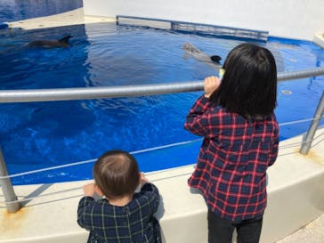 大分マリーンパレス水族館 「うみたまご」に投稿された画像（2021/4/9）