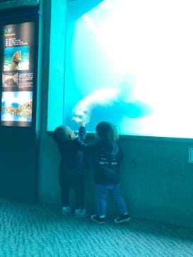 大分マリーンパレス水族館 「うみたまご」に投稿された画像（2021/4/9）