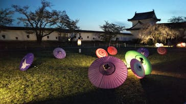 姫路城（イベント）に投稿された画像（2021/4/9）