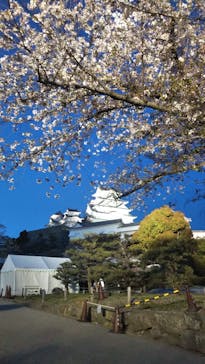 姫路城（イベント）に投稿された画像（2021/4/9）