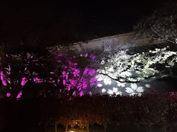 姫路城（イベント）に投稿された画像（2021/4/9）