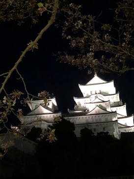 姫路城（イベント）に投稿された画像（2021/4/9）