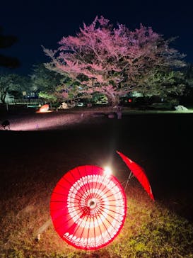 姫路城（イベント）に投稿された画像（2021/4/9）