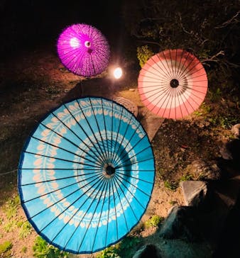 姫路城（イベント）に投稿された画像（2021/4/9）