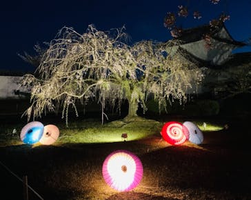 姫路城（イベント）に投稿された画像（2021/4/9）