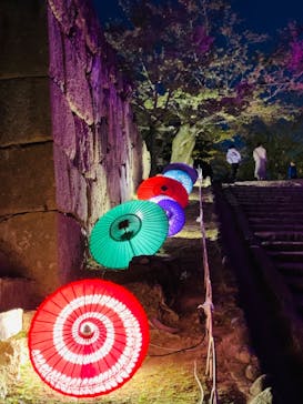 姫路城（イベント）に投稿された画像（2021/4/9）