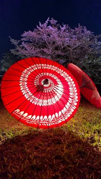 姫路城（イベント）に投稿された画像（2021/4/9）