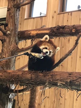 伊豆シャボテン動物公園に投稿された画像（2021/4/9）