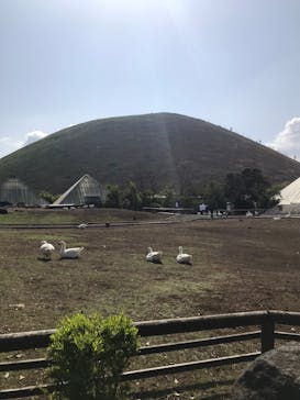 伊豆シャボテン動物公園に投稿された画像（2021/4/9）