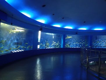 京急油壺マリンパークに投稿された画像（2021/4/9）