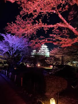 姫路城（イベント）に投稿された画像（2021/4/9）