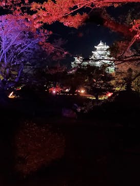 姫路城（イベント）に投稿された画像（2021/4/9）