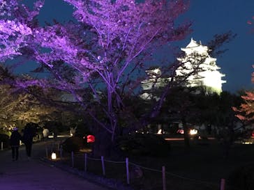 姫路城（イベント）に投稿された画像（2021/4/9）