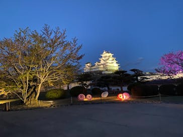 姫路城（イベント）に投稿された画像（2021/4/10）