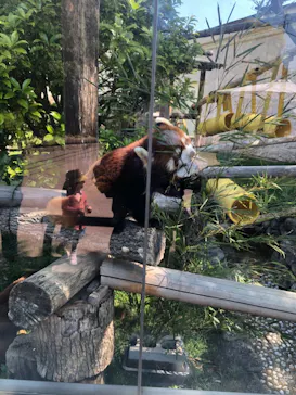 天王寺動物園に投稿された画像（2021/4/10）