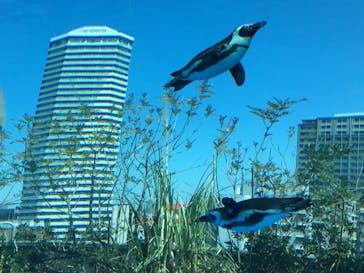 サンシャイン水族館に投稿された画像（2021/4/10）