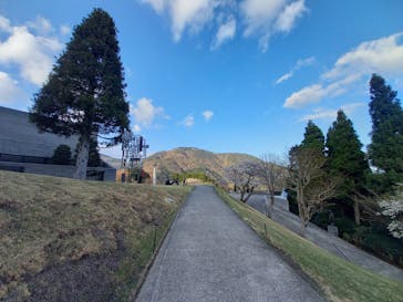 彫刻の森美術館に投稿された画像（2021/4/10）