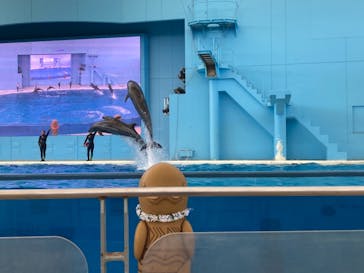 横浜・八景島シーパラダイスに投稿された画像（2021/4/10）