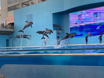 横浜・八景島シーパラダイスに投稿された画像（2021/4/10）