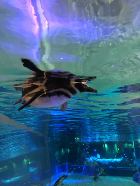 すみだ水族館に投稿された画像（2021/4/10）