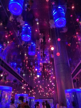 マクセル アクアパーク品川に投稿された画像（2021/4/10）