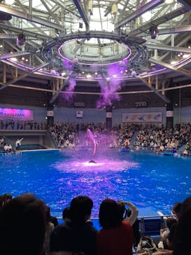 マクセル アクアパーク品川に投稿された画像（2021/4/10）