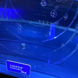 すみだ水族館に投稿された画像（2021/4/10）