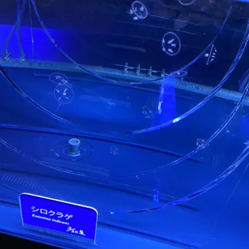 すみだ水族館に投稿された画像（2021/4/10）