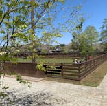 わんダフルネイチャーヴィレッジに投稿された画像（2021/4/10）