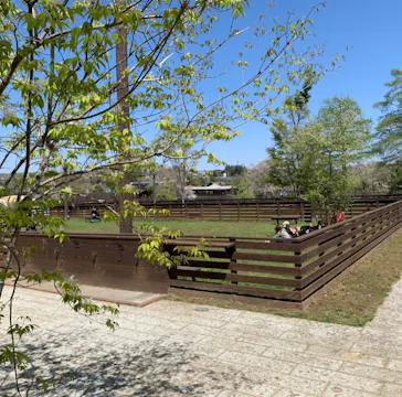 わんダフルネイチャーヴィレッジに投稿された画像（2021/4/10）