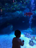 すみだ水族館に投稿された画像（2021/4/10）
