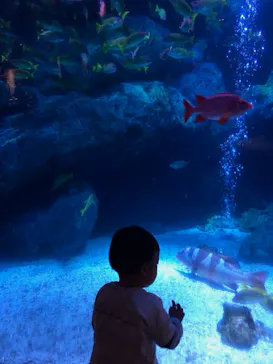 すみだ水族館に投稿された画像（2021/4/10）